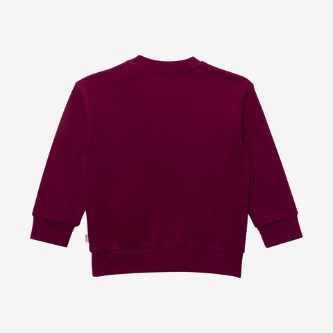 Baby boys' purple sweatshirt