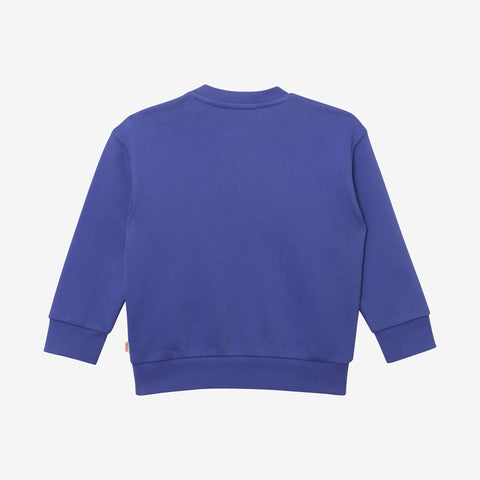 Baby boys' blue sweatshirt