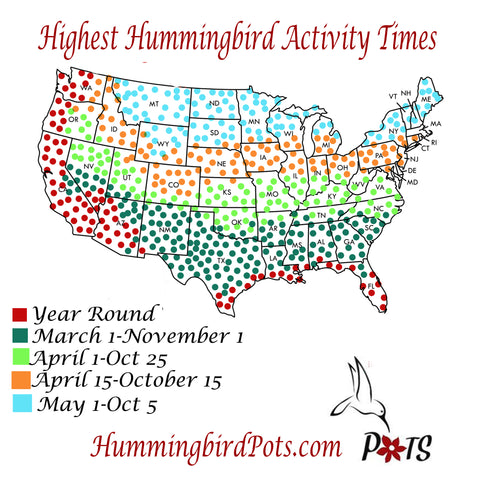 Hummingbird Map Migrations when to hang feeder