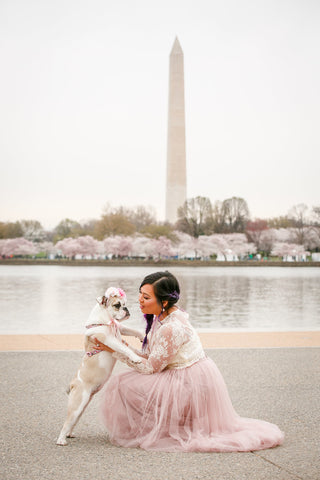 Top 10 Pet-Friendly Travel Destinations in the US | Small light colored dog and owner in the middle of DC cherry blossoms with a view of Washington Monument in the background | Bubu Brands