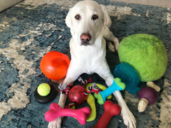 Yellow lab lays in a pile of brightly colored dog toys while looking at the camera | Bubu Brands