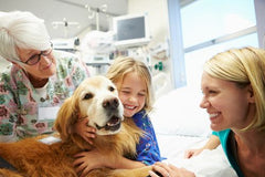 Three women of different ages sit smiling while petting a golden retriever dog 