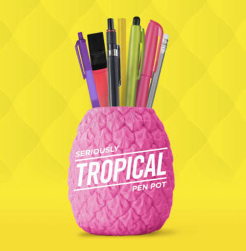 pineapple pencil holder