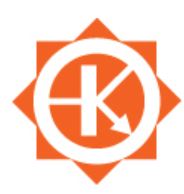 Solar Electronics Company Logo