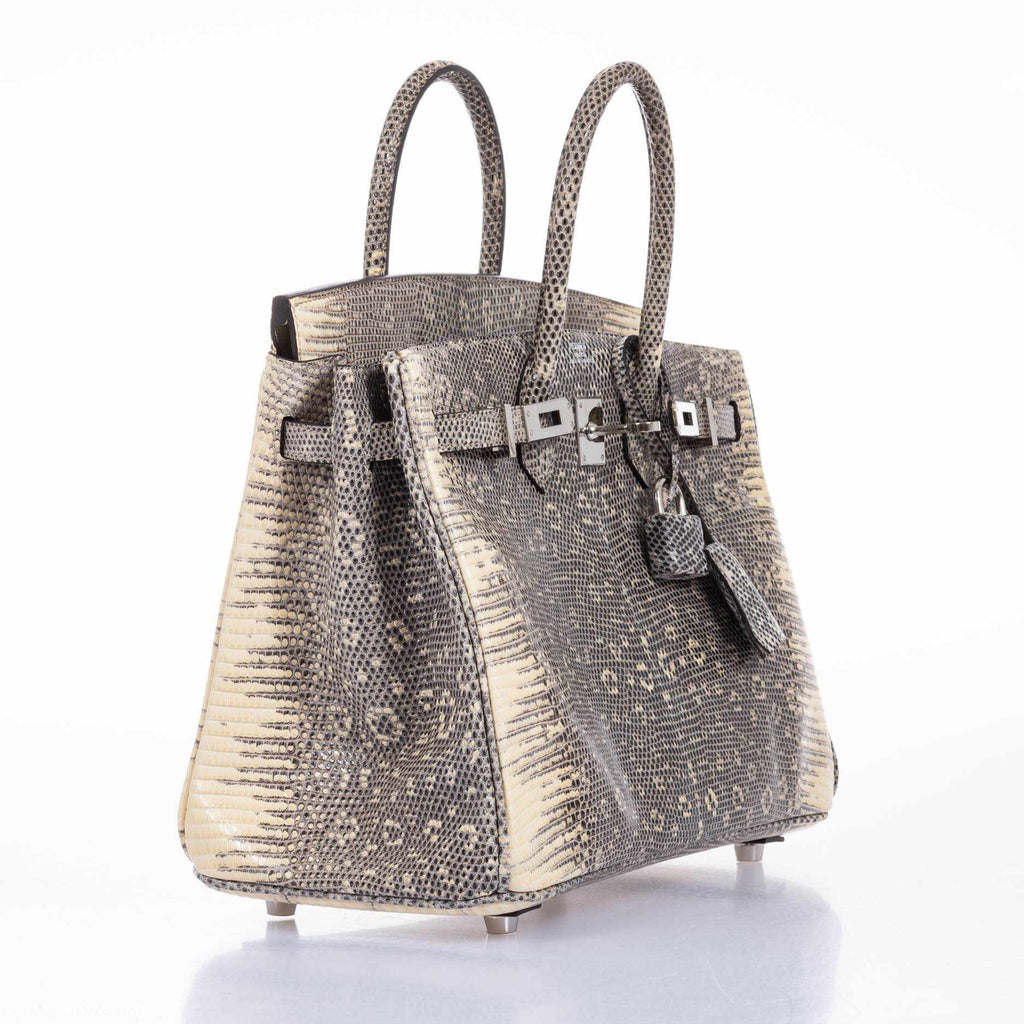 ombre lizard birkin price