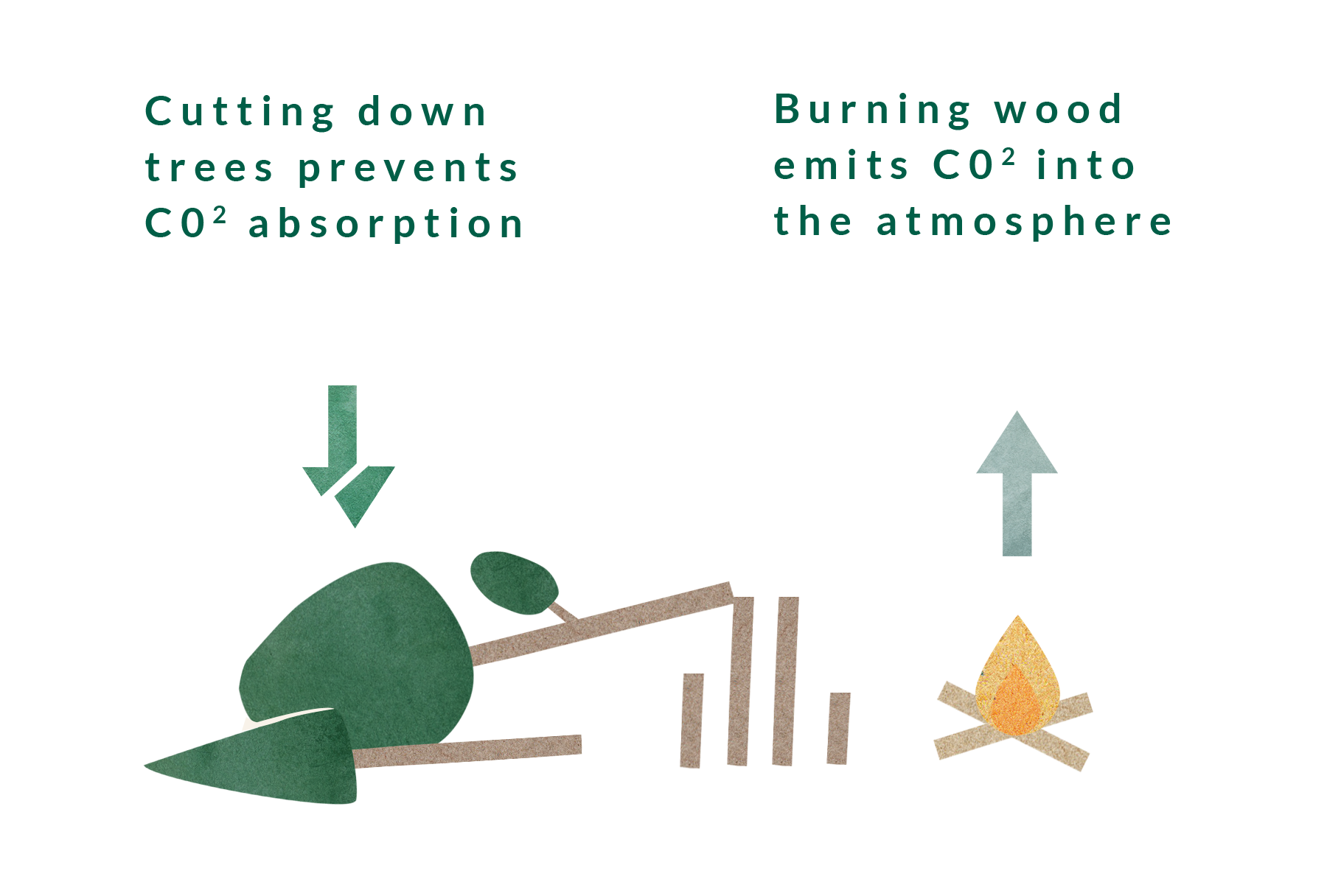 Carbon locked in trees