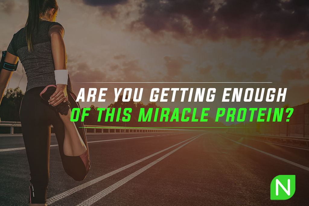 Are you getting enough of this miracle protein? 