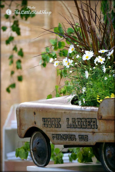 Junebug at The Farm Chicks Antique Show photo by The Little Red Shop