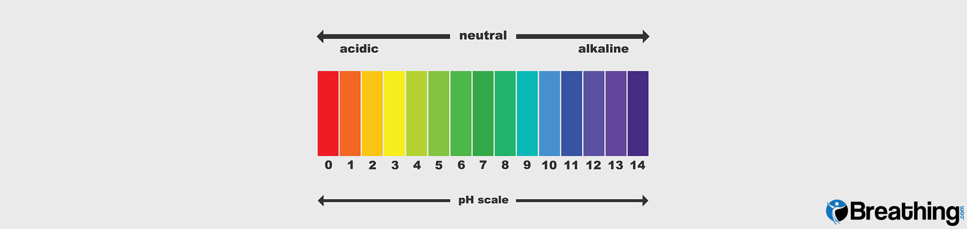 Acid Alkaline Balance