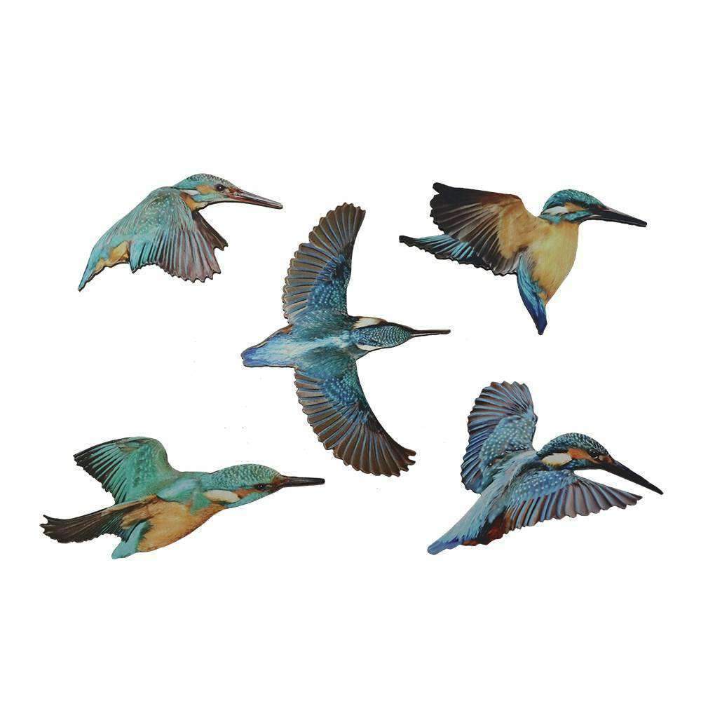 Wall Art Kingfisher Birds | The Design Store NZ | NZ Wide Delivery