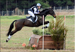 Wildcats of the University of Kentucky Take on the Intercollegiate Eventing Championships