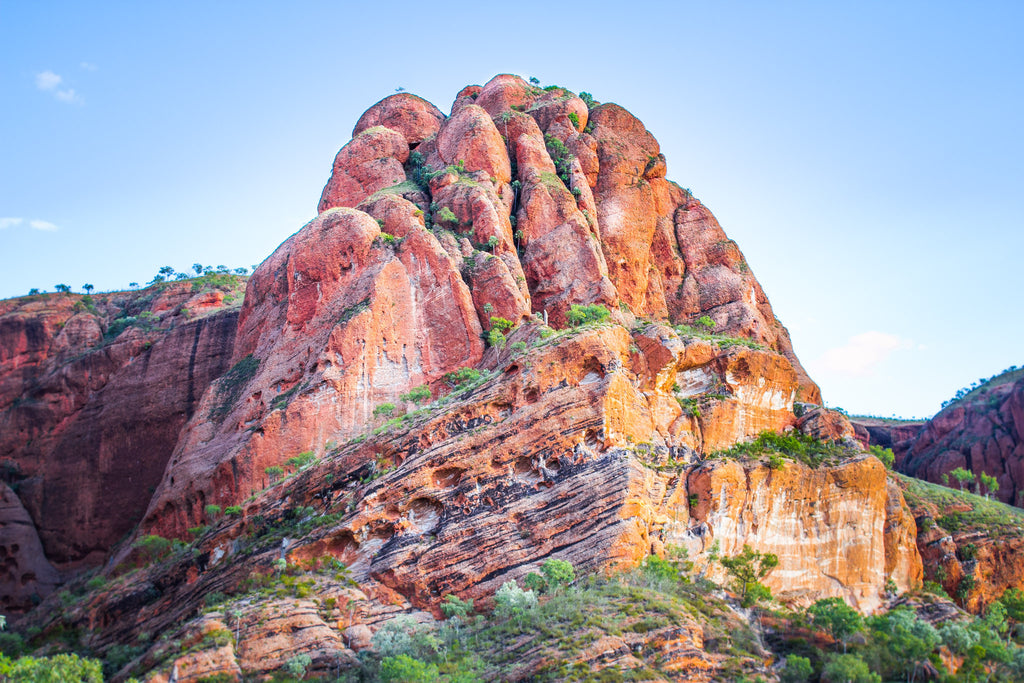 A bungle from the bungle bungles