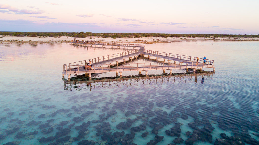 hamelin pool