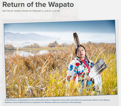 Return of the Wapato in the Evergreen Magazine, featuring Emily Washines a Yakama Cree Skokomish tribal member