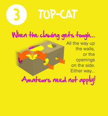 Cat Amazing Puzzle Toy for Cats Beginner Level Diagram