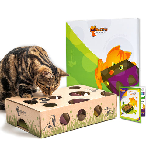 Cat Amazing interactive cat feeder - cat toy gift for Mother's day!