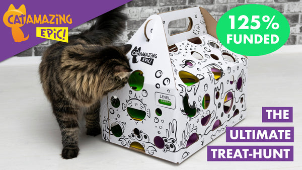 Cat Amazing EPIC! cat toy puzzle feeder funded on kickstarter