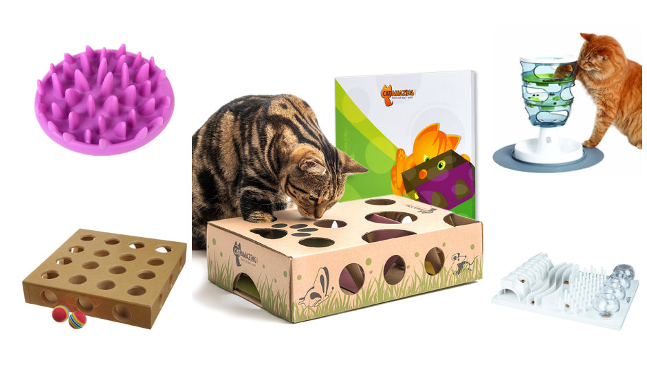 Comparison of Cat Puzzle Feeders & Toys