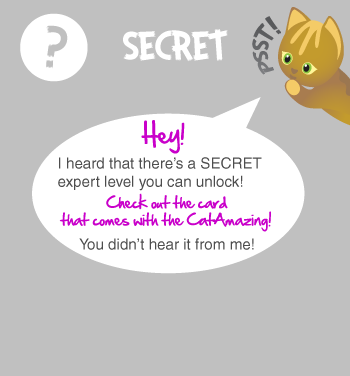 Cat Amazing Tip #4 - Secret Level