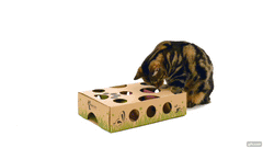 Puzzle Feeder Cat Amazing difficulty levels