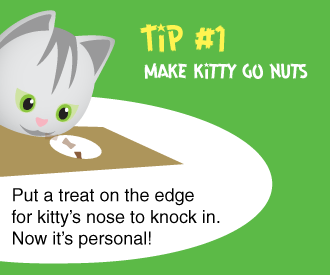 Cat Amazing Puzzle Feeder - Cat Toy Tip #1