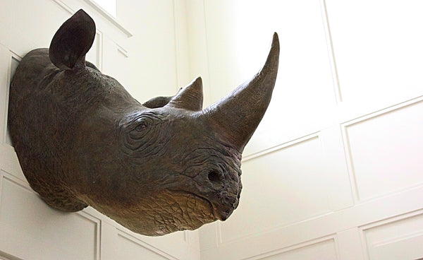 Replica Rhinoceros Head Wall Decor