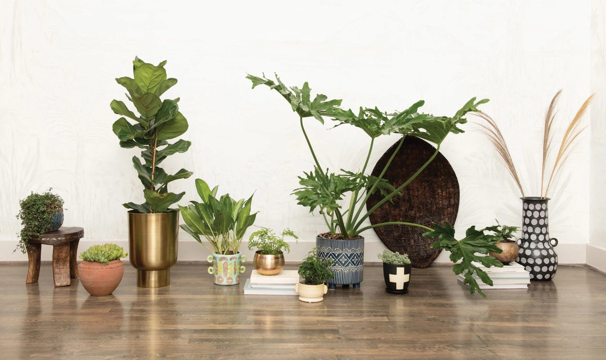 Decorating with houseplants to match your industrial interior