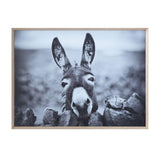 Framed Canvas Photo Print - Donkey - City Home - Portland Oregon - Furniture and Home Decor