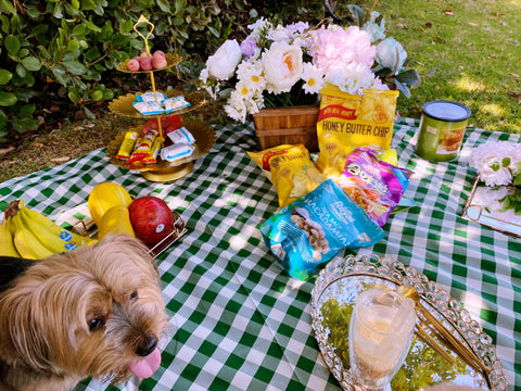 summer picnic spread