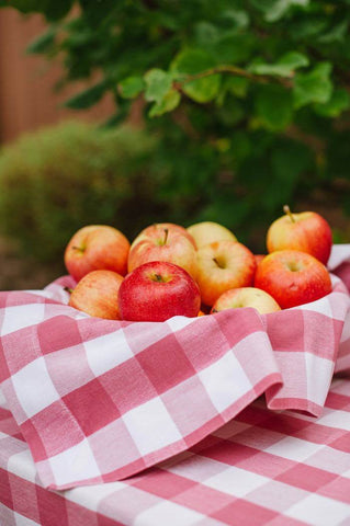 Fall Picnic Decor