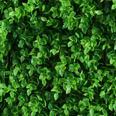 11 Sq ft. | 4 Panels Baby Green Boxwood Hedge Garden Wall Backdrop Mat#whtbkgd