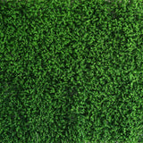 11 Sq ft. | 4 Panels Baby Green Boxwood Hedge Garden Wall Backdrop Mat