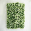 4 Panels White Tip Green Boxwood Hedge Genlisea Garden Wall Backdrop Mat