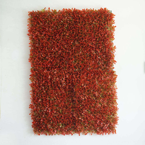 11 Sq ft. | 4 Panels Artificial Red/Green Boxwood Hedge Faux Elliptical Leaves Foliage Green Garden Wall Mat