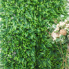 Boston Fern Eucalyptus Boxwood Greenery Garden Wall, Backdrop UV Protected Assorted Foliage#whtbkgd