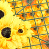11 Sq ft. | 4 Panels Artificial Sunflower Wall Mat Backdrop, Flower Wall Decor