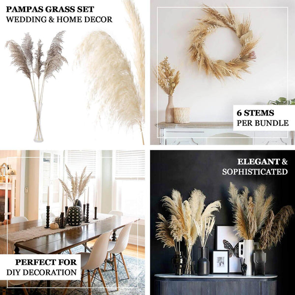 6 Pack | 32inch Dried Natural Pampas Grass Plant Stems, Grass Spray Decor