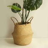 Set of 2 | Natural Seagrass Plant Baskets, Wicker Hand Woven Straw Planter With Handles