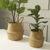 Set of 2 | Natural Seagrass Plant Baskets, Wicker Hand Woven Straw Planter With Handles