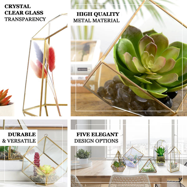 10" Heptagon Prism Gold Metal Geometric Glass Terrarium, Multipurpose Air Plants Holder