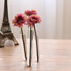 Set of 2 - 3 PCS Clear Glass Conjoined Test Tube Flower Vase Plant Decoration