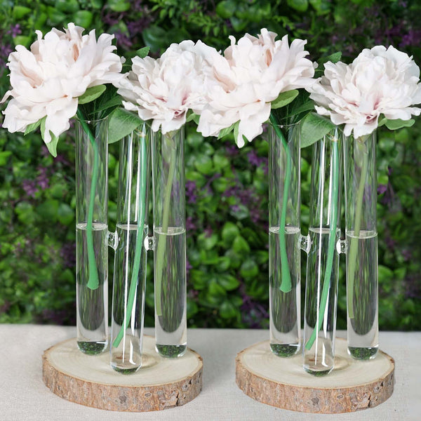 Set of 2 - 3 PCS Clear Glass Conjoined Test Tube Flower Vase Plant Decoration