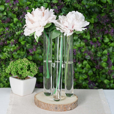 Set of 2 - 3 PCS Clear Glass Conjoined Test Tube Flower Vase Plant Decoration