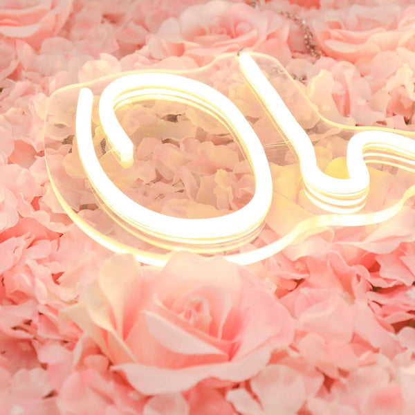 26Inch Oh Baby Neon Light Sign, LED Reusable Wall Décor Lights With 5ft Hanging Chain