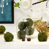 12 Pack | 2" Handmade Natural Gold Glittered Twig Rattan Balls