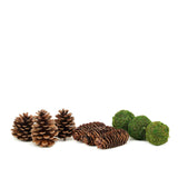 9 Pack Natural Pine Cones and Moss Balls Assorted Potpourri Vase Fillers Bowl DIY Table Decorations