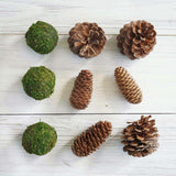 9 Pack Natural Pine Cones and Moss Balls Assorted Potpourri Vase Fillers Bowl DIY Table Decorations