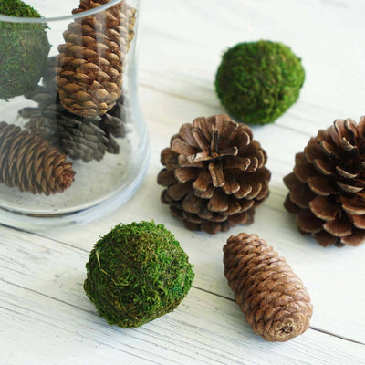 9 Pack Natural Pine Cones and Moss Balls Assorted Potpourri Vase Fillers Bowl DIY Table Decorations