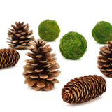 9 Pack Natural Pine Cones and Moss Balls Assorted Potpourri Vase Fillers Bowl DIY Table Decorations