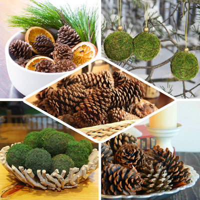 9 Pack Natural Pine Cones and Moss Balls Assorted Potpourri Vase Fillers Bowl DIY Table Decorations